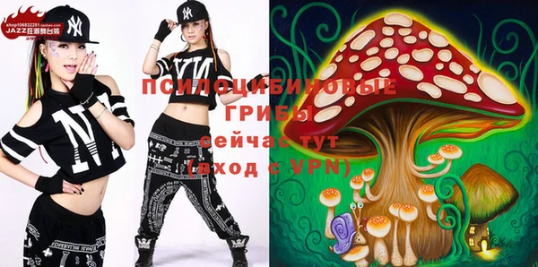 ГАЛЛЮЦИНОГЕННЫЕ ГРИБЫ Слюдянка