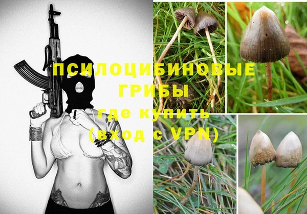 MDMA Заволжск