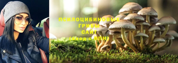 MDMA Заволжск